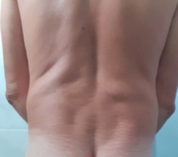Profil de Silvin